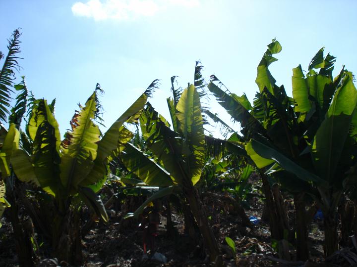 DSC02953 - Coral Bay